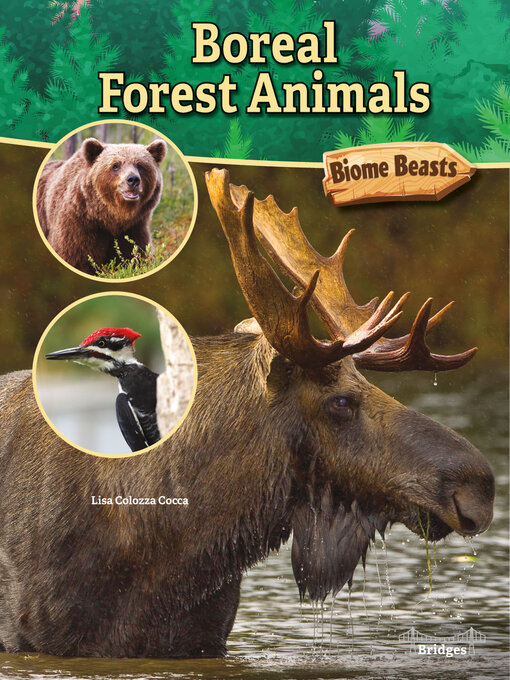 Title details for Boreal Forest Animals by Lisa Cocca - Available